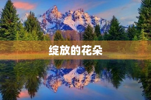 绽放的花朵