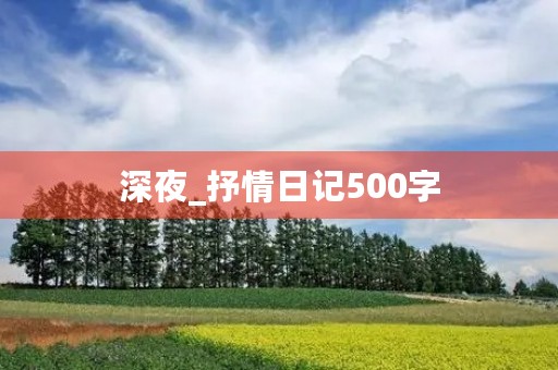 深夜_抒情日记500字