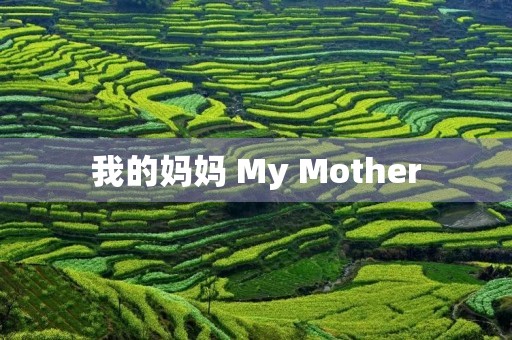 我的妈妈 My Mother