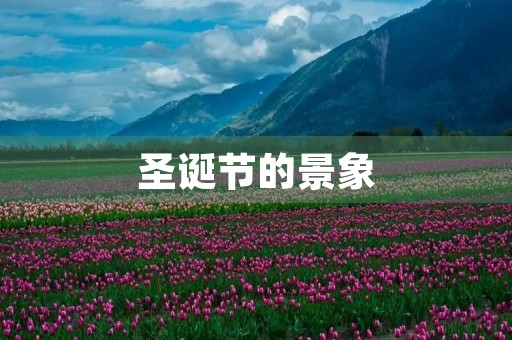 圣诞节的景象 圣诞节的景象