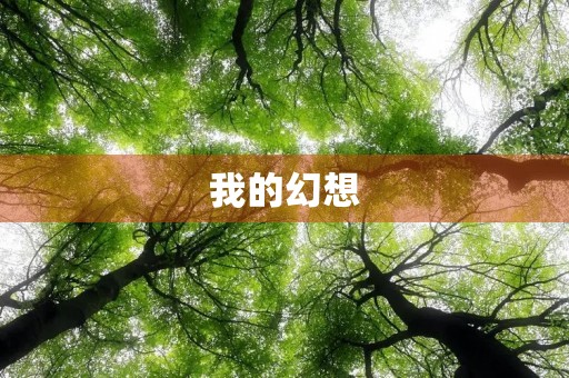 我的幻想