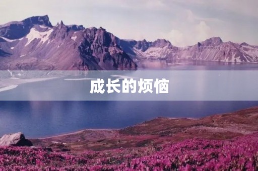 成长的烦恼 成长的烦恼