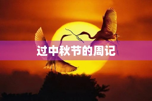 过中秋节的周记 过中秋节的周记