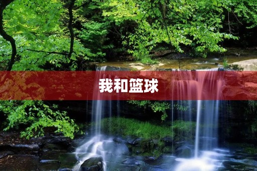 我和篮球 我和篮球
