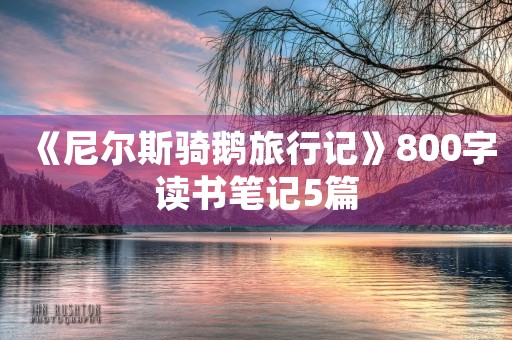 《尼尔斯骑鹅旅行记》800字读书笔记5篇