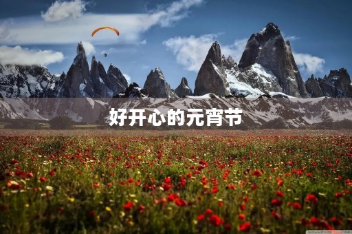 好开心的元宵节 好开心的元宵节