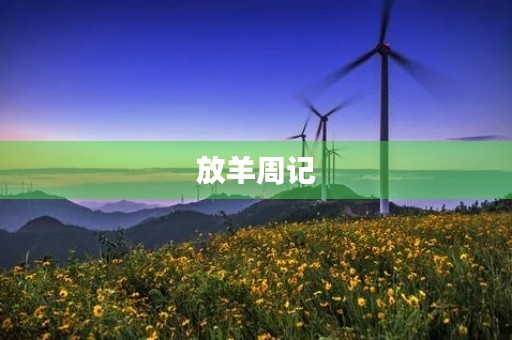 放羊周记