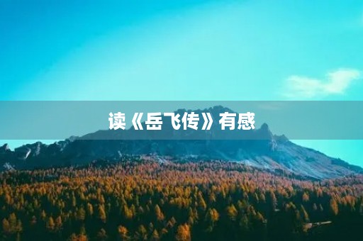 读《岳飞传》有感 读《岳飞传》有感