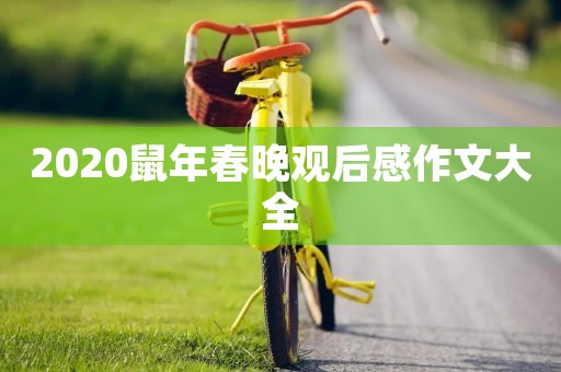2020鼠年春晚观后感作文大全
