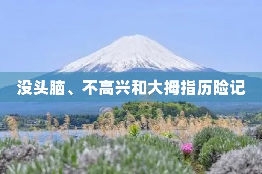没头脑、不高兴和大拇指历险记