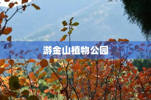 游金山植物公园