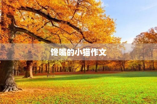 馋嘴的小猫作文 馋嘴的小猫作文