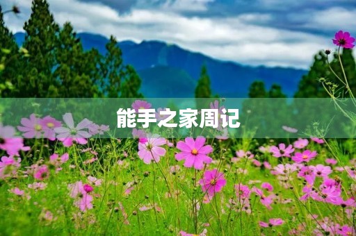 能手之家周记