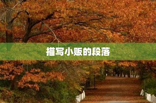 描写小贩的段落