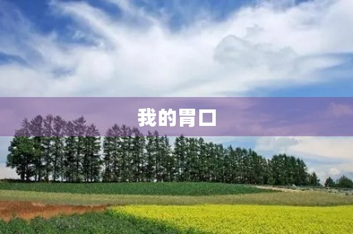 我的胃口
