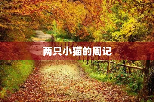 两只小猫的周记 两只小猫的周记