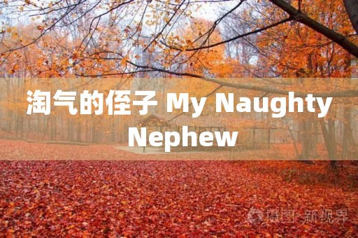 淘气的侄子 My Naughty Nephew 淘气的侄子 My Naughty Nephew