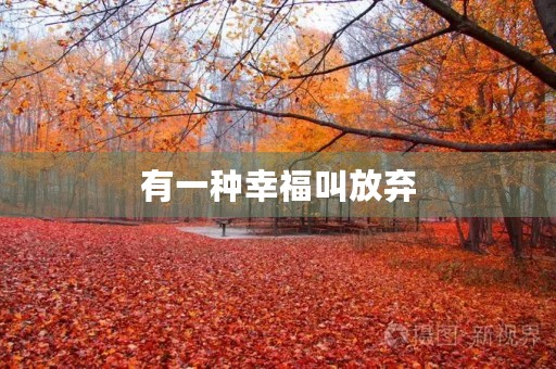有一种幸福叫放弃