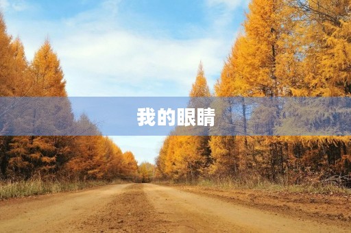 我的眼睛