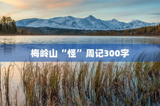 梅岭山“怪”周记300字