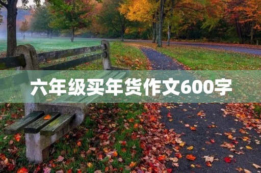 六年级买年货作文600字