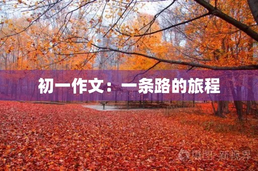 初一作文：一条路的旅程