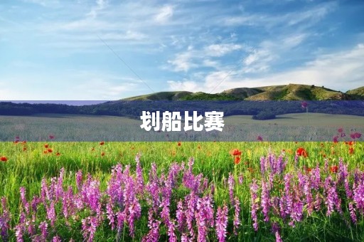 划船比赛 划船比赛