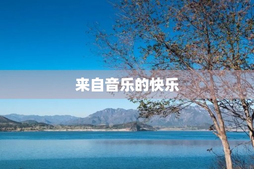 来自音乐的快乐