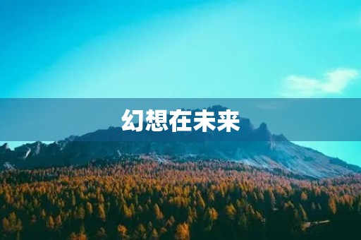 幻想在未来