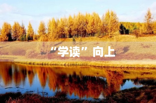 “学读”向上