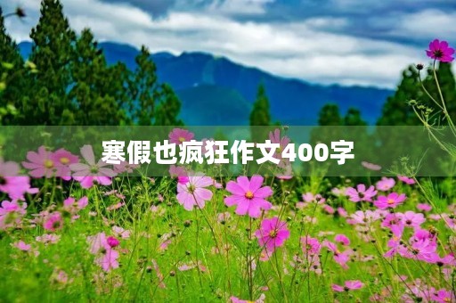 寒假也疯狂作文400字