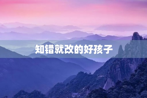 知错就改的好孩子