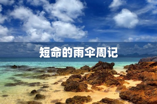短命的雨伞周记 短命的雨伞周记