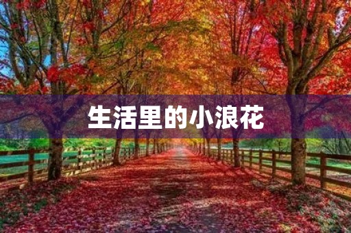 生活里的小浪花 生活里的小浪花