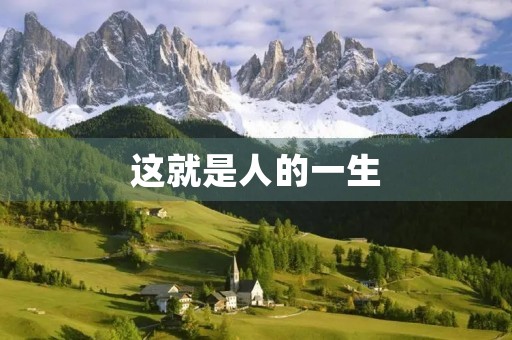 这就是人的一生 这就是人的一生