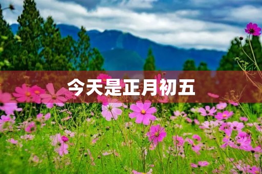 今天是正月初五