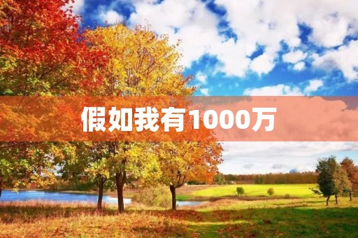 假如我有1000万