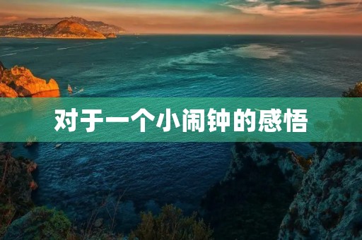 对于一个小闹钟的感悟