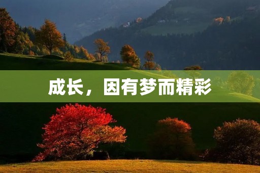 成长，因有梦而精彩