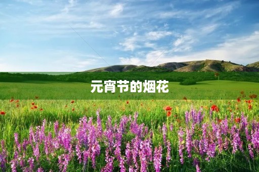 元宵节的烟花 元宵节的烟花
