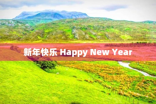 新年快乐 Happy New Year 新年快乐 Happy New Year