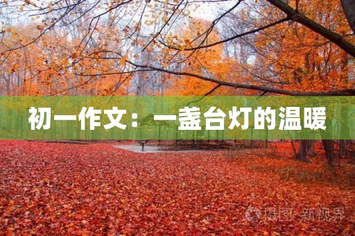 初一作文:一盏台灯的温暖 初一作文:一盏台灯的温暖