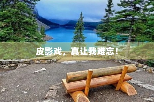 皮影戏，真让我难忘！