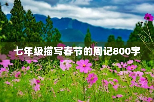 七年级描写春节的周记800字 七年级描写春节的周记800字