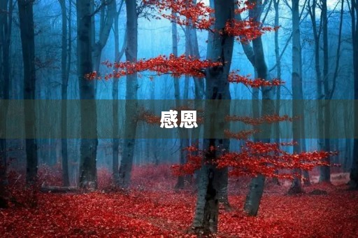 感恩 感恩