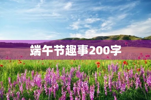 端午节趣事200字
