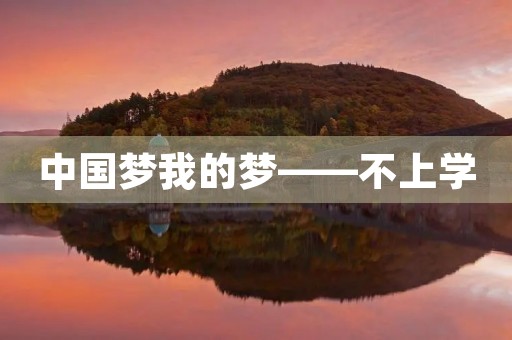 中国梦我的梦——不上学