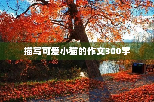 描写可爱小猫的作文300字 描写可爱小猫的作文300字