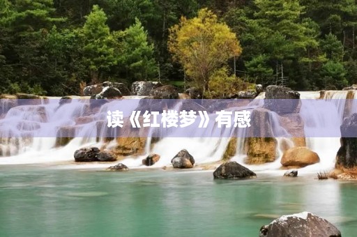 读《红楼梦》有感