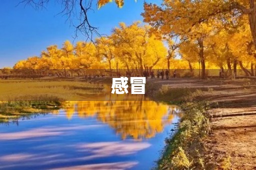 感冒 感冒